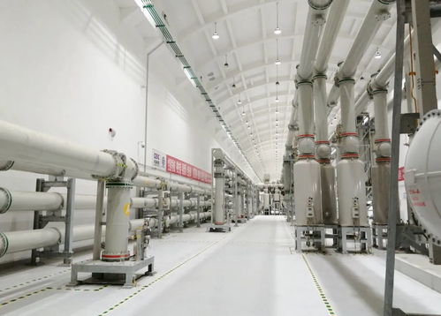 屢屢突破，走向世界——?？藗愃闺姎獾娜蛘鞒? />
</a>
<span><a href=